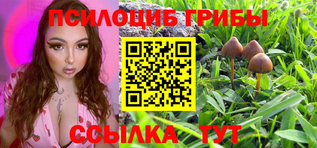 Реж  Галлюциногенные грибы прущие грибы  Вход с VPN 